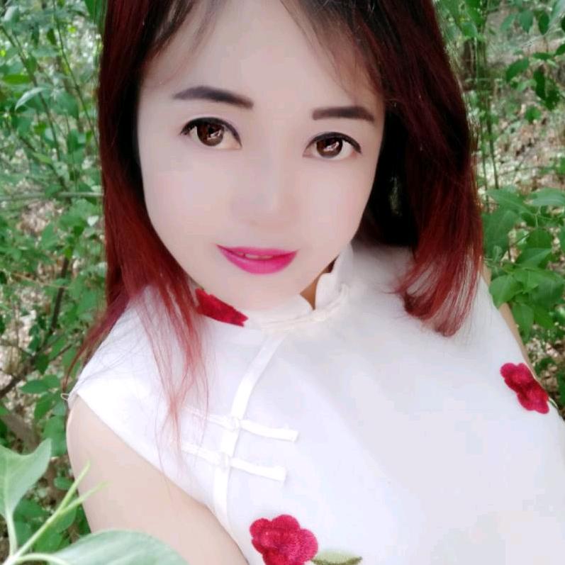 青海梅子