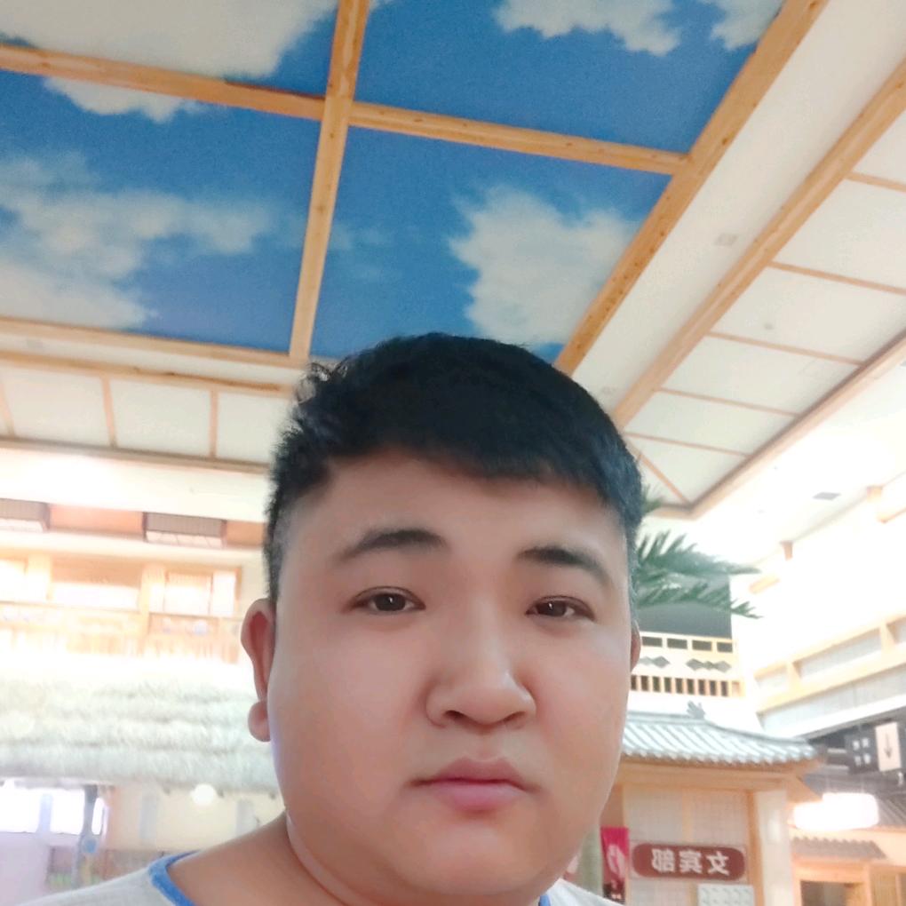 磊子