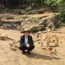 衢州农民（鸡哥）