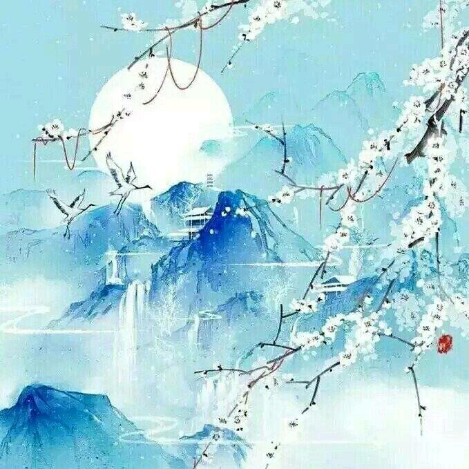 鸢尾