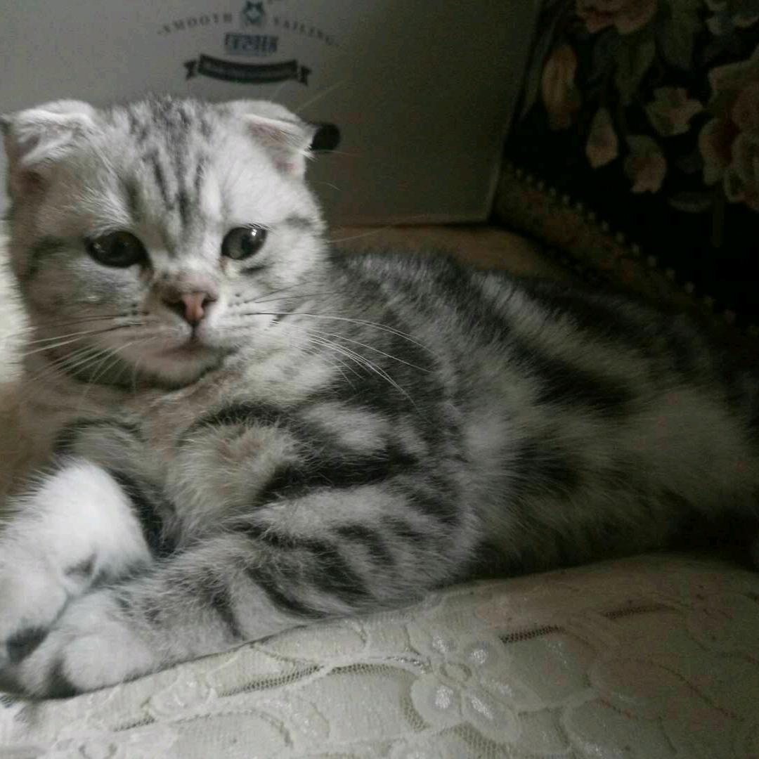 开心快乐美好一天