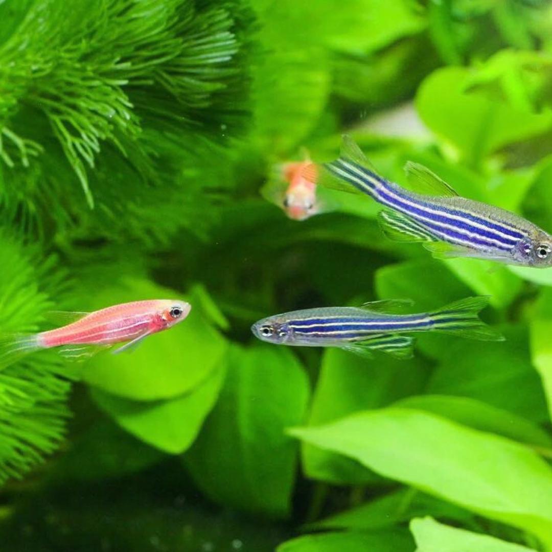 新概念水族生活馆