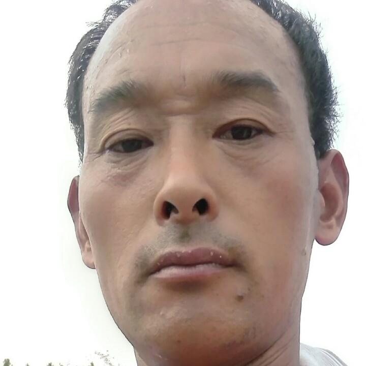 金元宝
