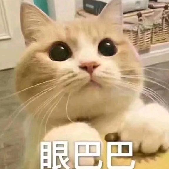 陆璃离