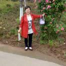 李碧生姜大蒜批发1518181987