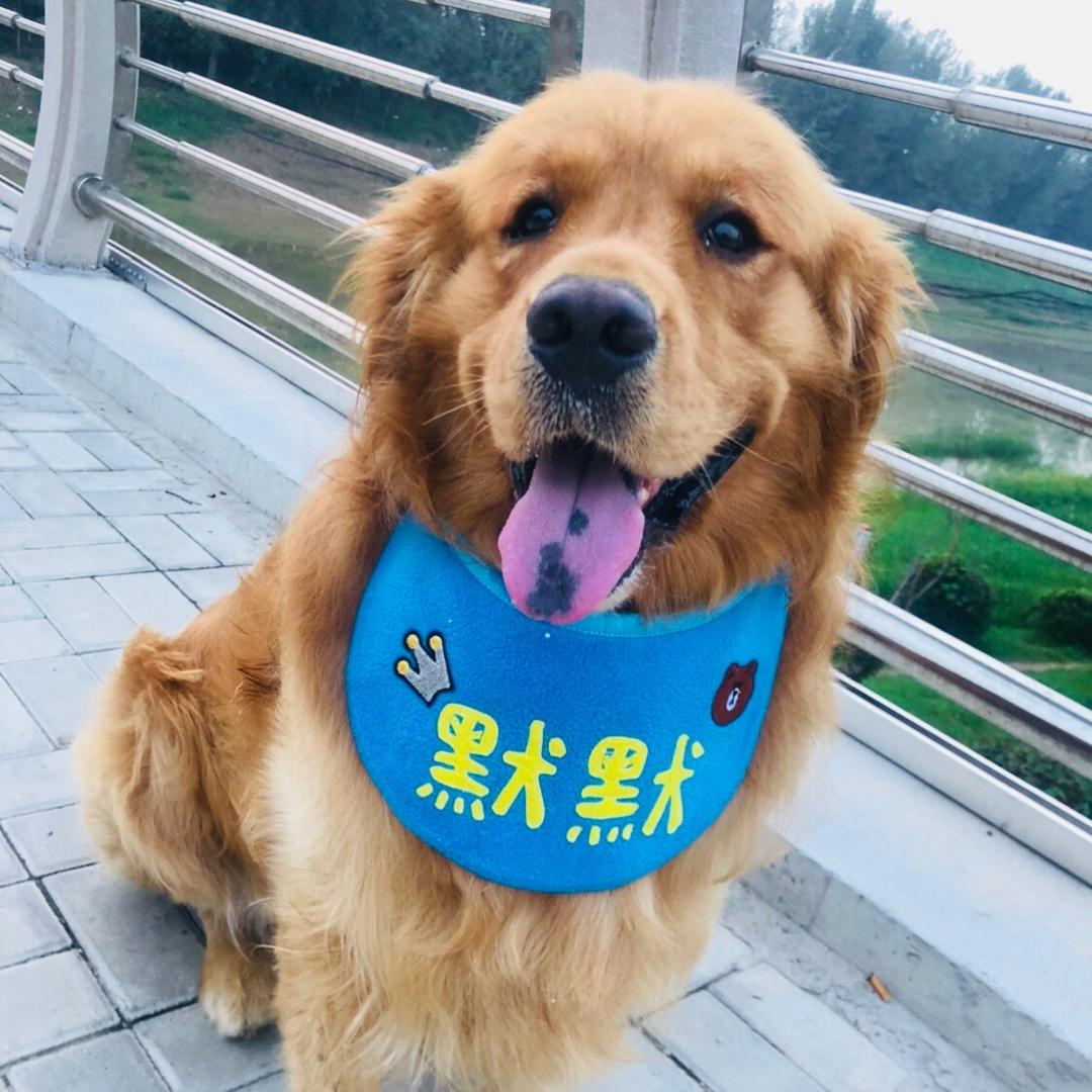 默默妈咪