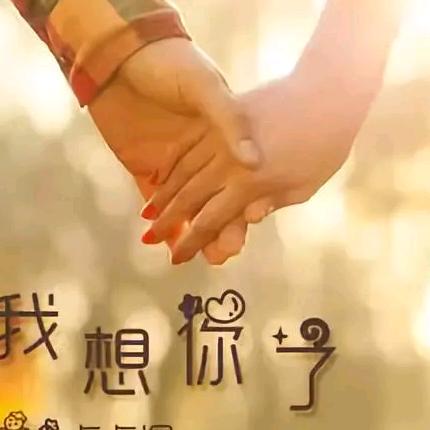 傻瓜式活法