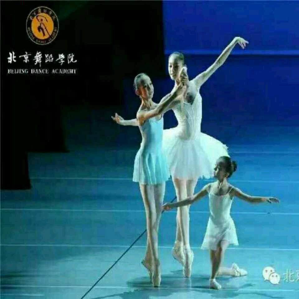 鸿蒙教育—小天鹅舞蹈（韩集分校）