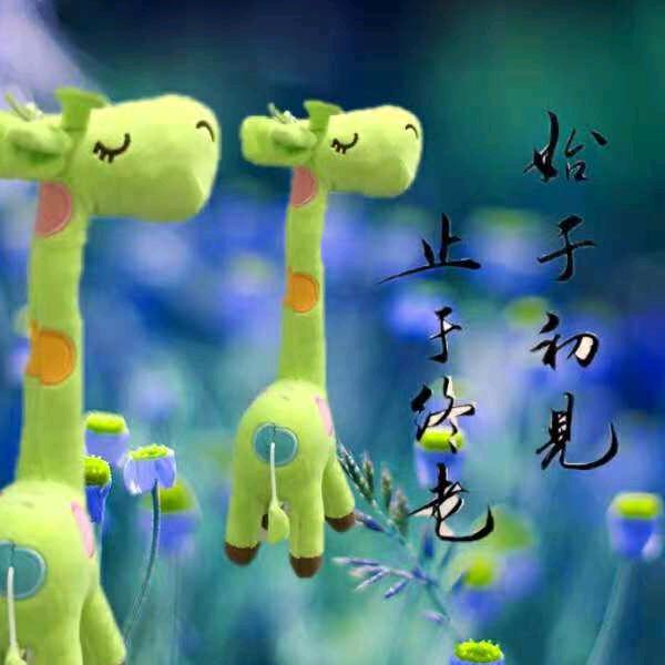 独樂樂