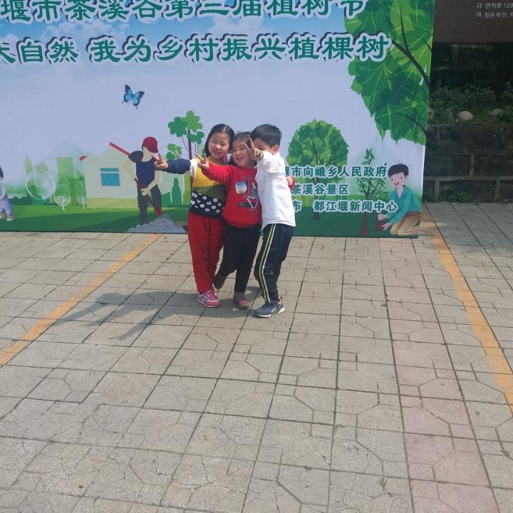 都江堰的猪