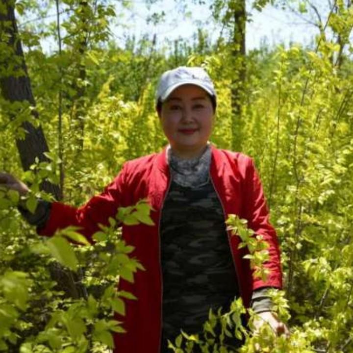 朱婆婆（养生   特产）