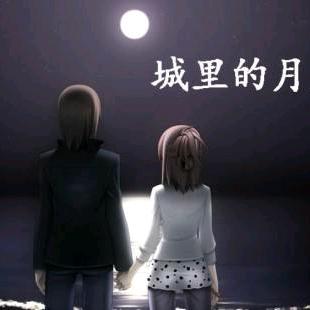 城里的月光
