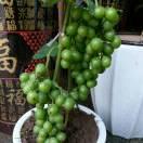 明天会更好！单身七零后花花姐