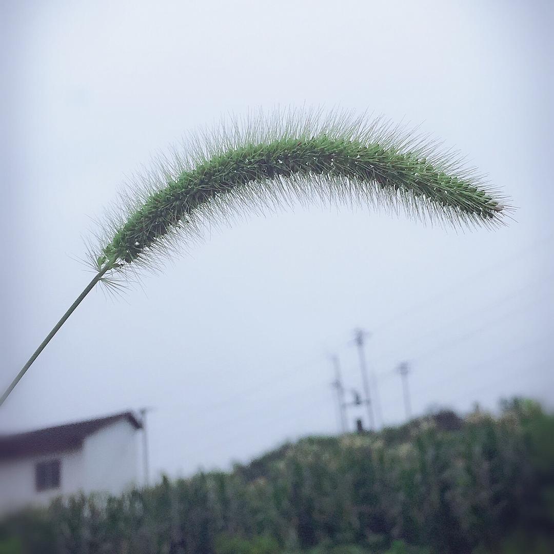 初见＆