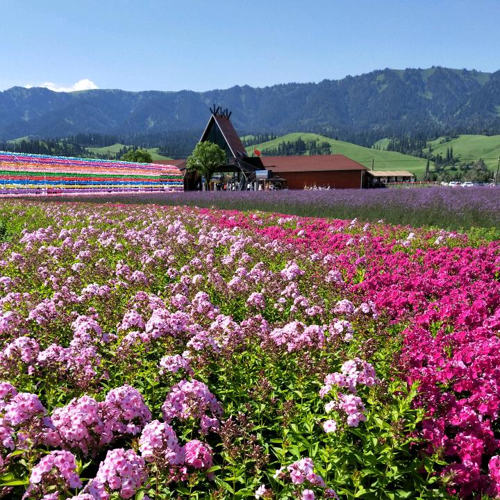 就是这个范儿！😊😊