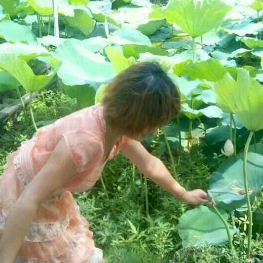兰兰