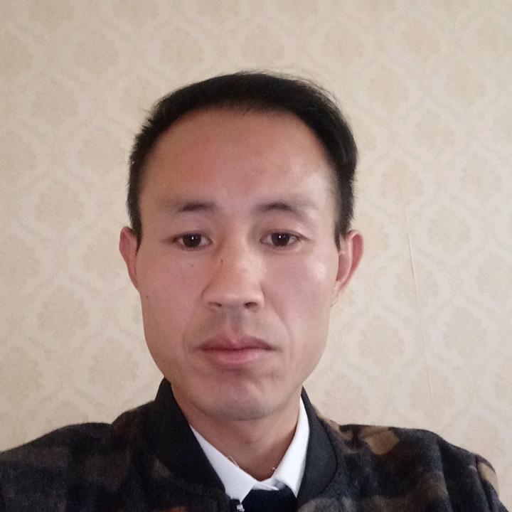 会飞的鱼