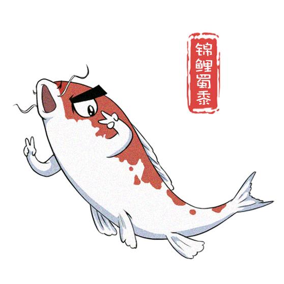 来个 秀