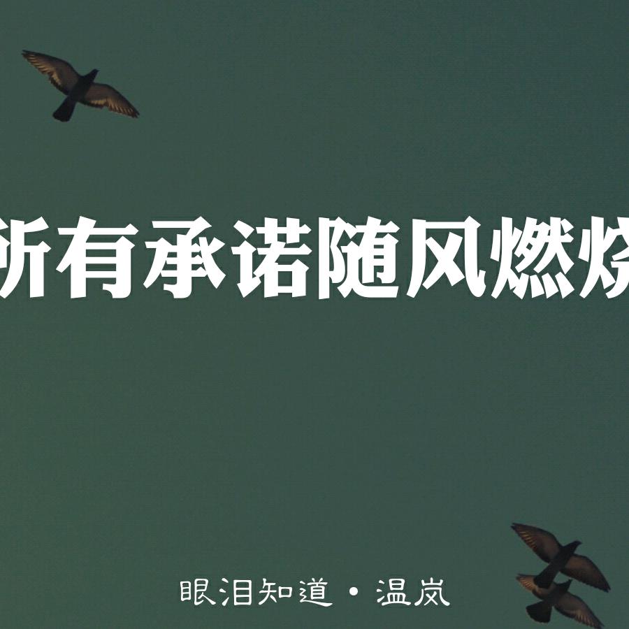 作死的蚂蚁