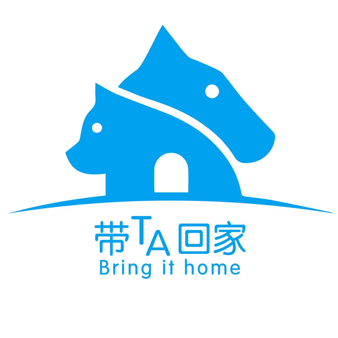 带它回家宠物服务