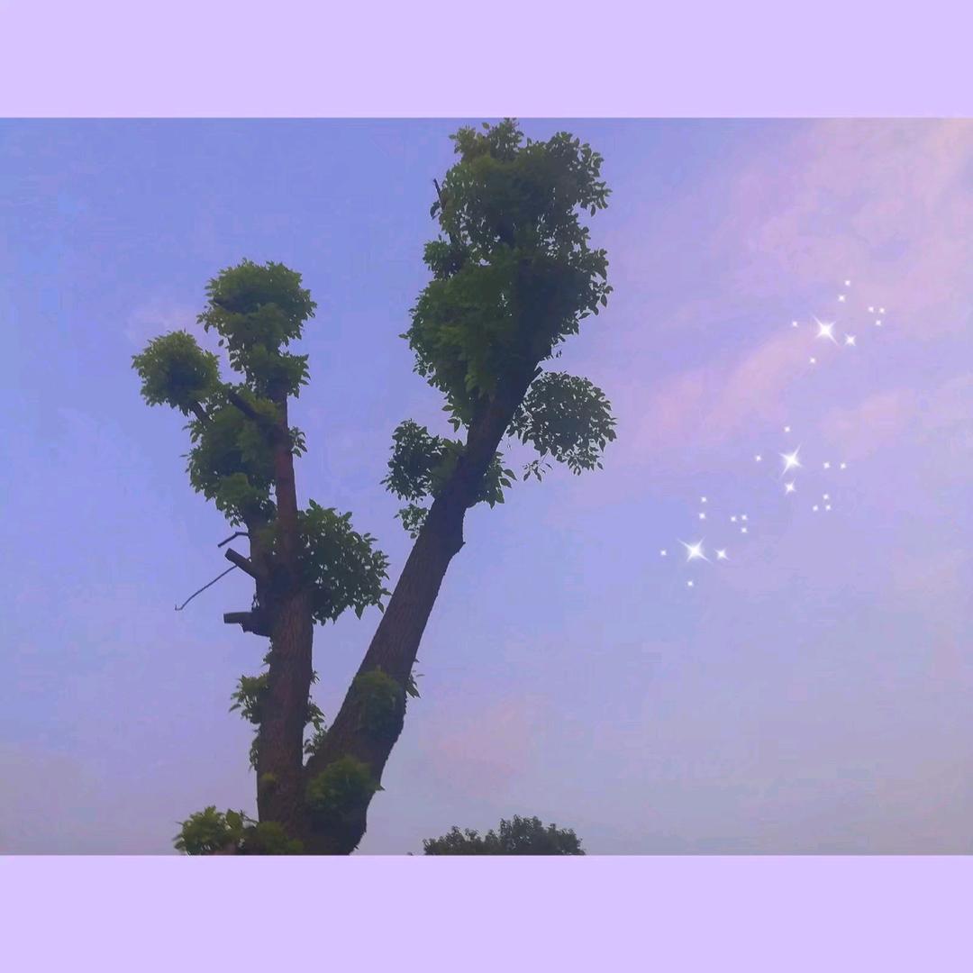 逝去的青春
