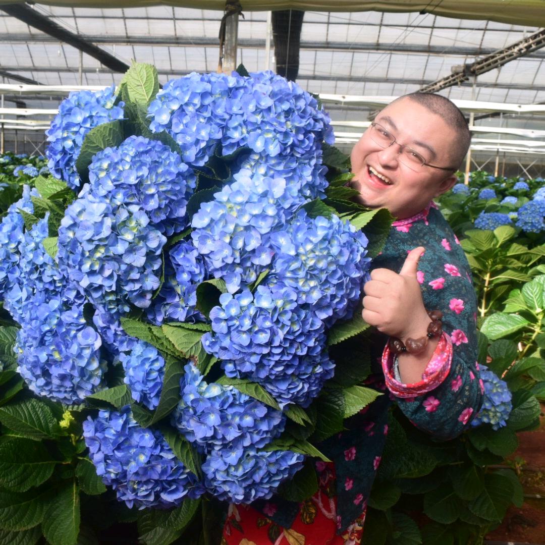 中花大会花哥