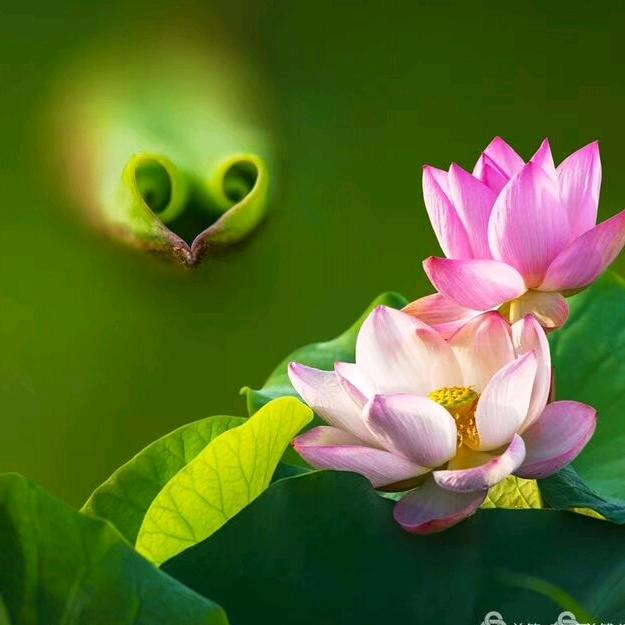简单的幸福
