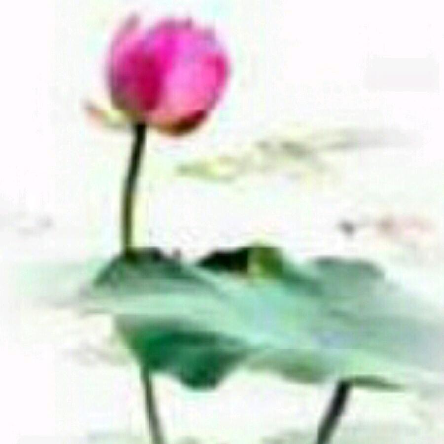 真诚