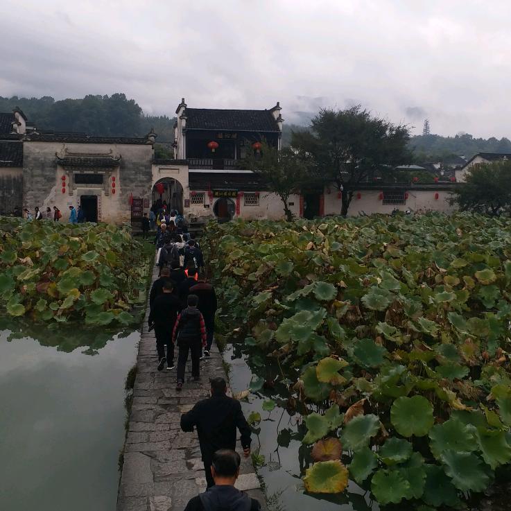 悠悠