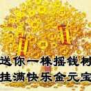 前程似锦，花开富贵。