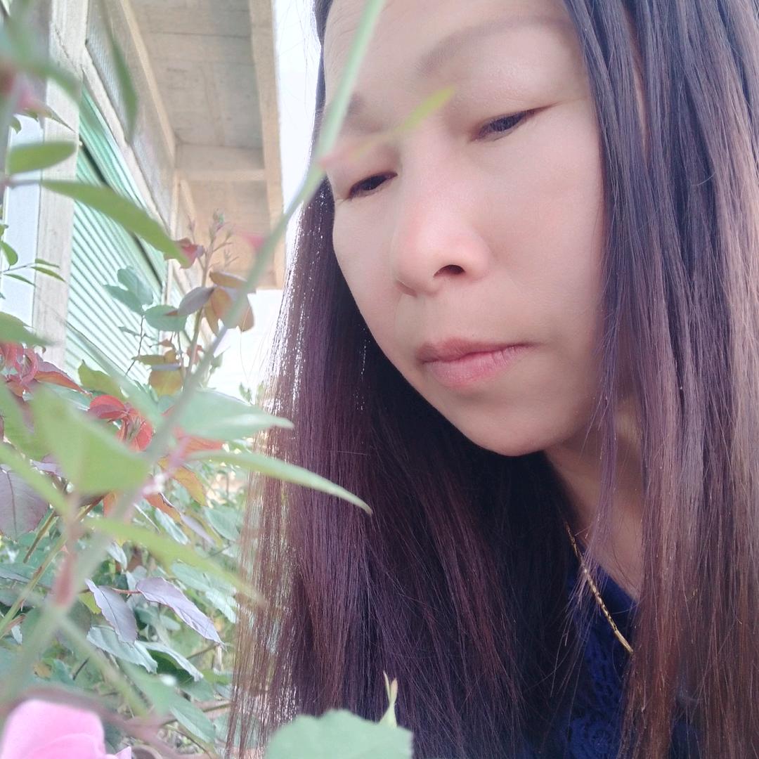 玫瑰上午11：10直播