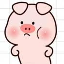 🐷🐷🐷🐷