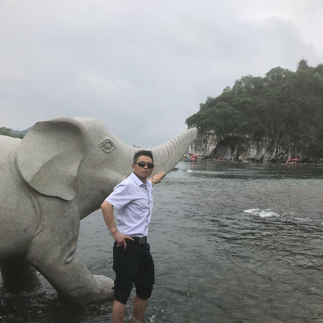 扶摇千里