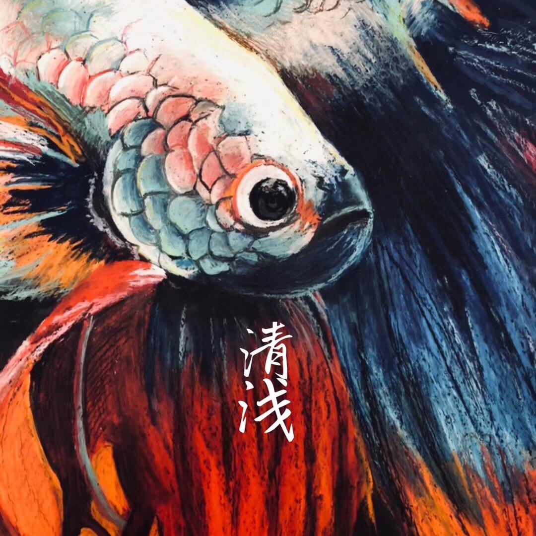 边牧莱西