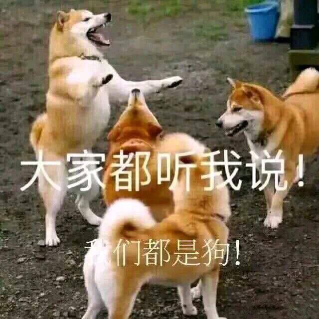 别吵我在思考