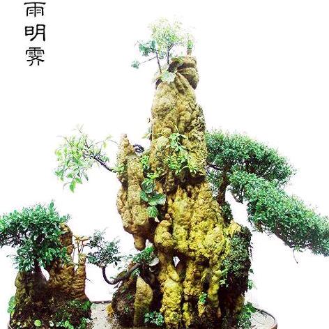神鹰