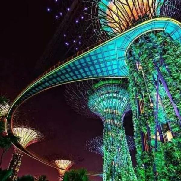 爱在独木桥两端