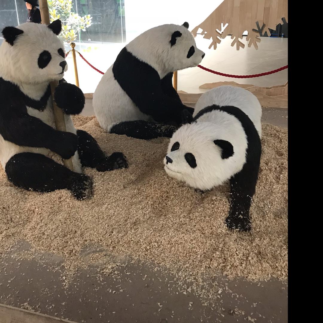 小青年儿