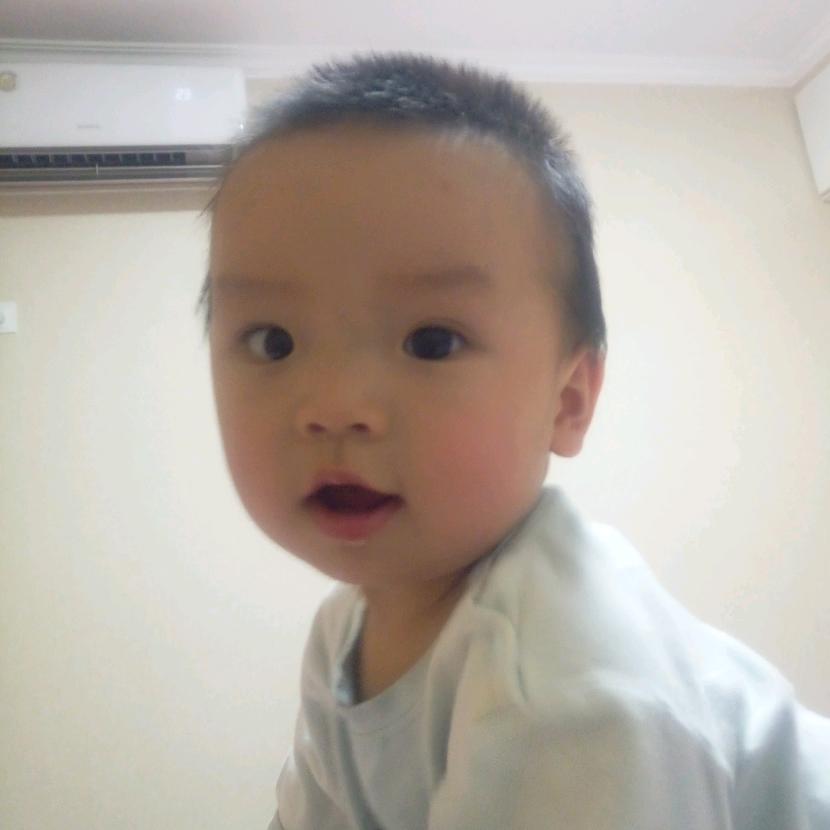 团子