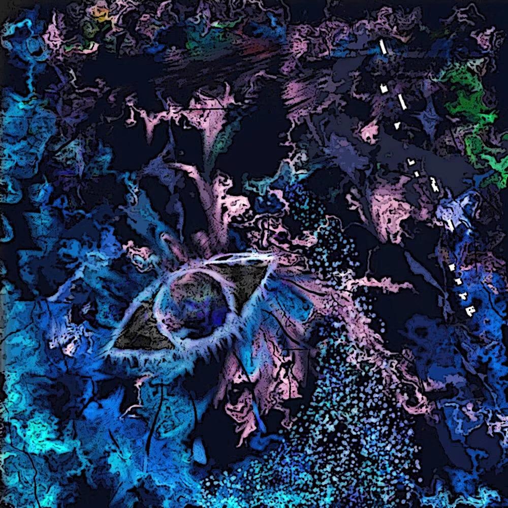 实镜
