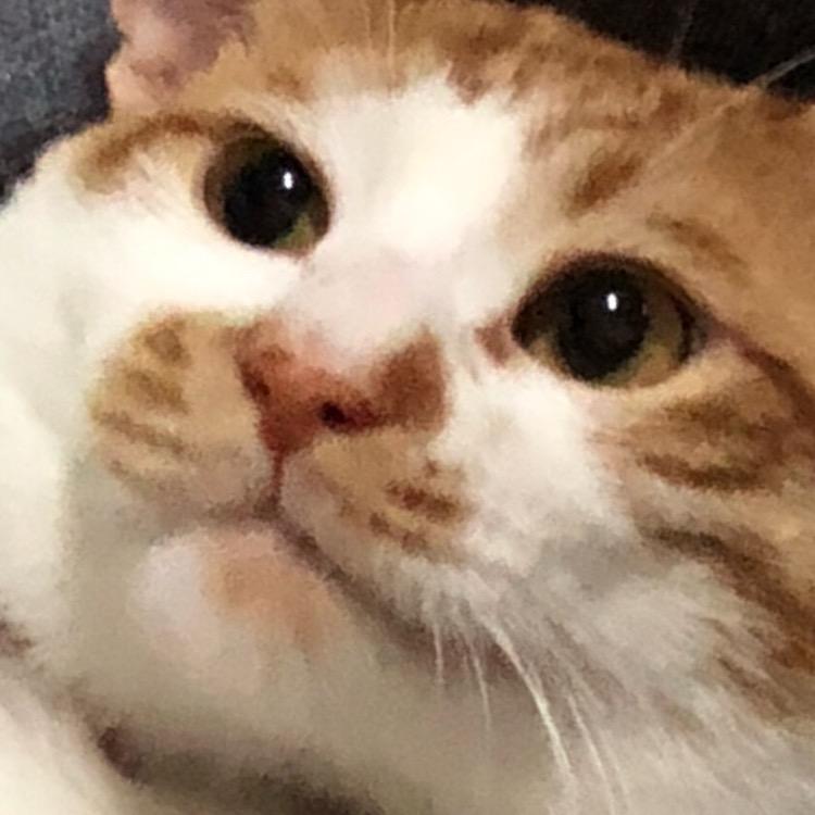 一颗蛋