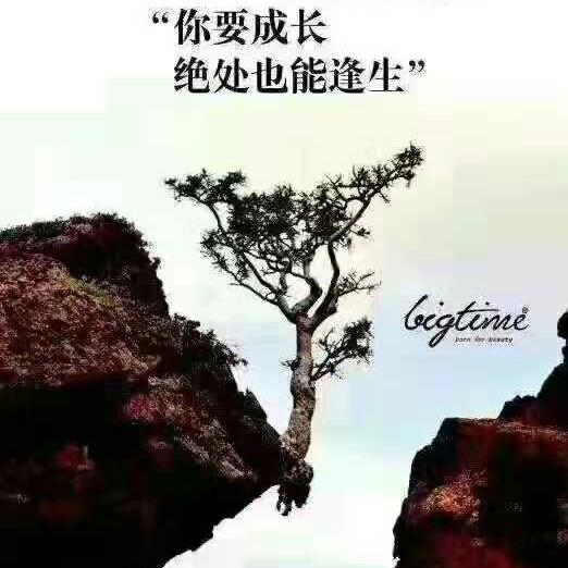 疯狂的兔子