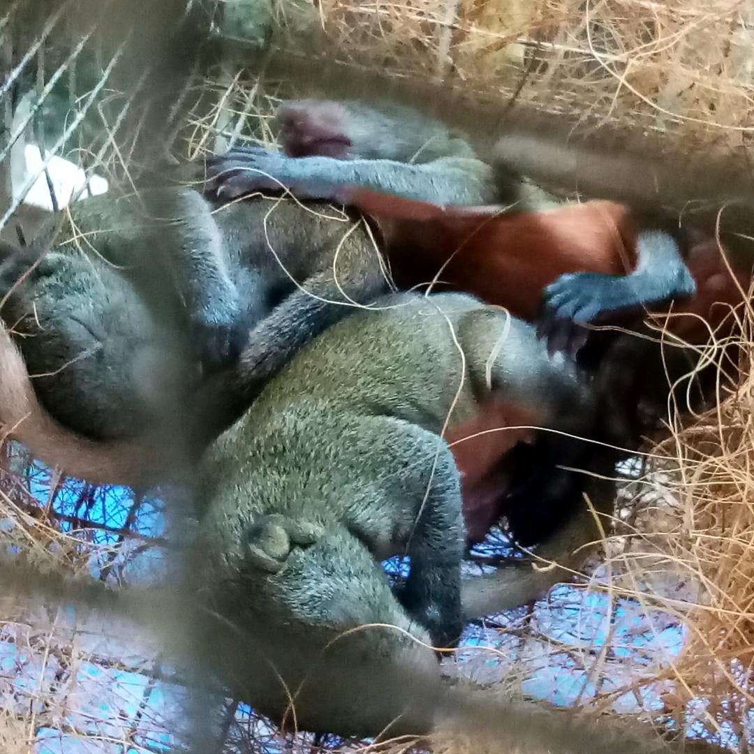 万佳宠物养殖🔥