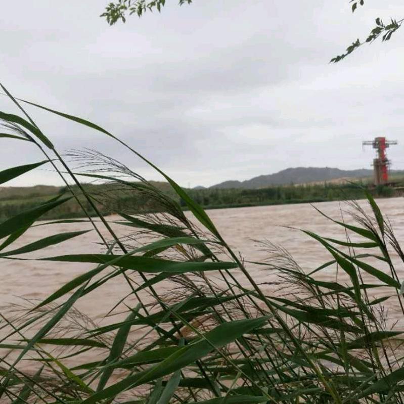 聆听幸福的声音