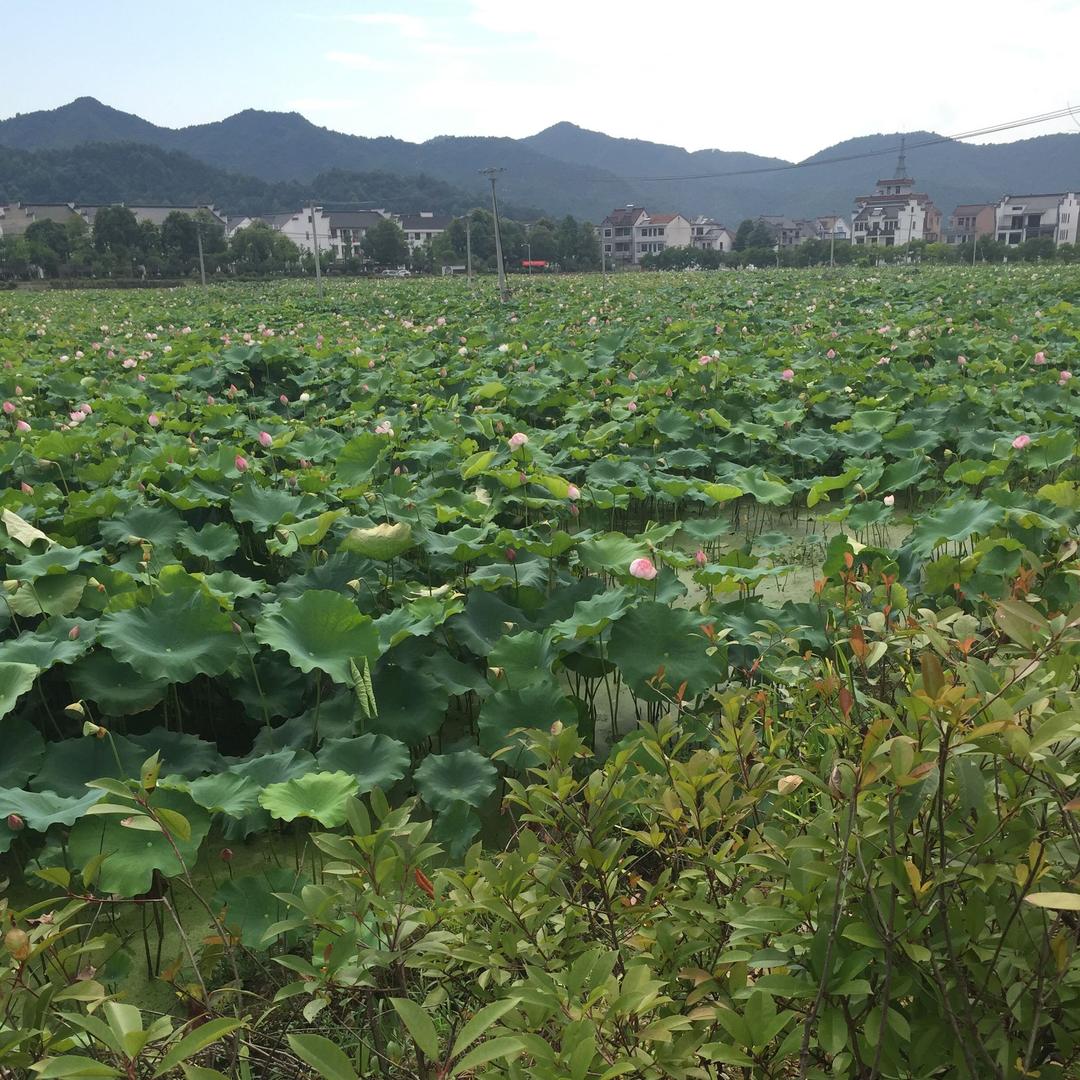 那年那月