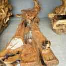 美好向往大别山姓汪