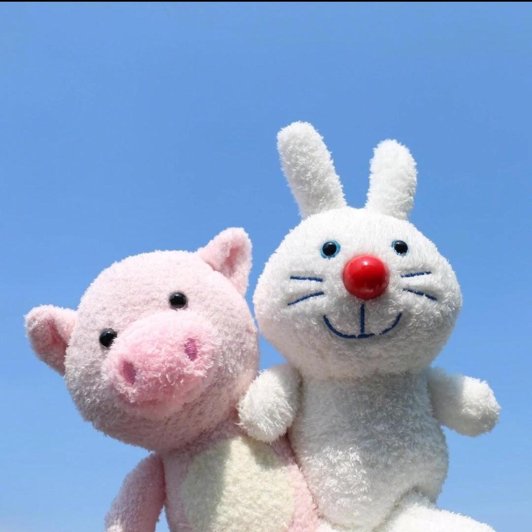 🐰Q佳🐑