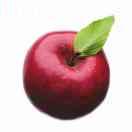 博远教育中心（音乐教育、午托）