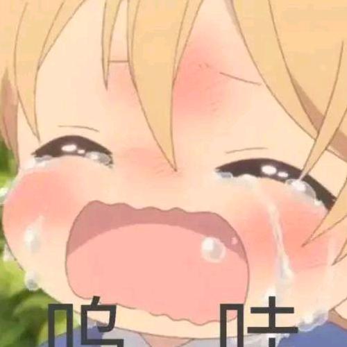 阿狸啊ˇ