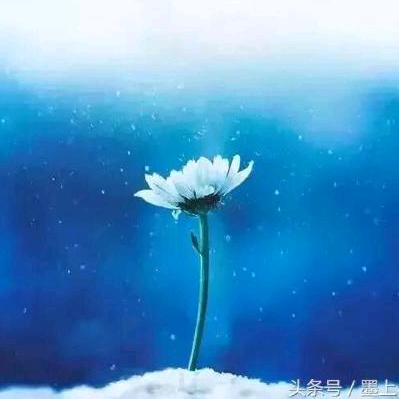 顾小伍